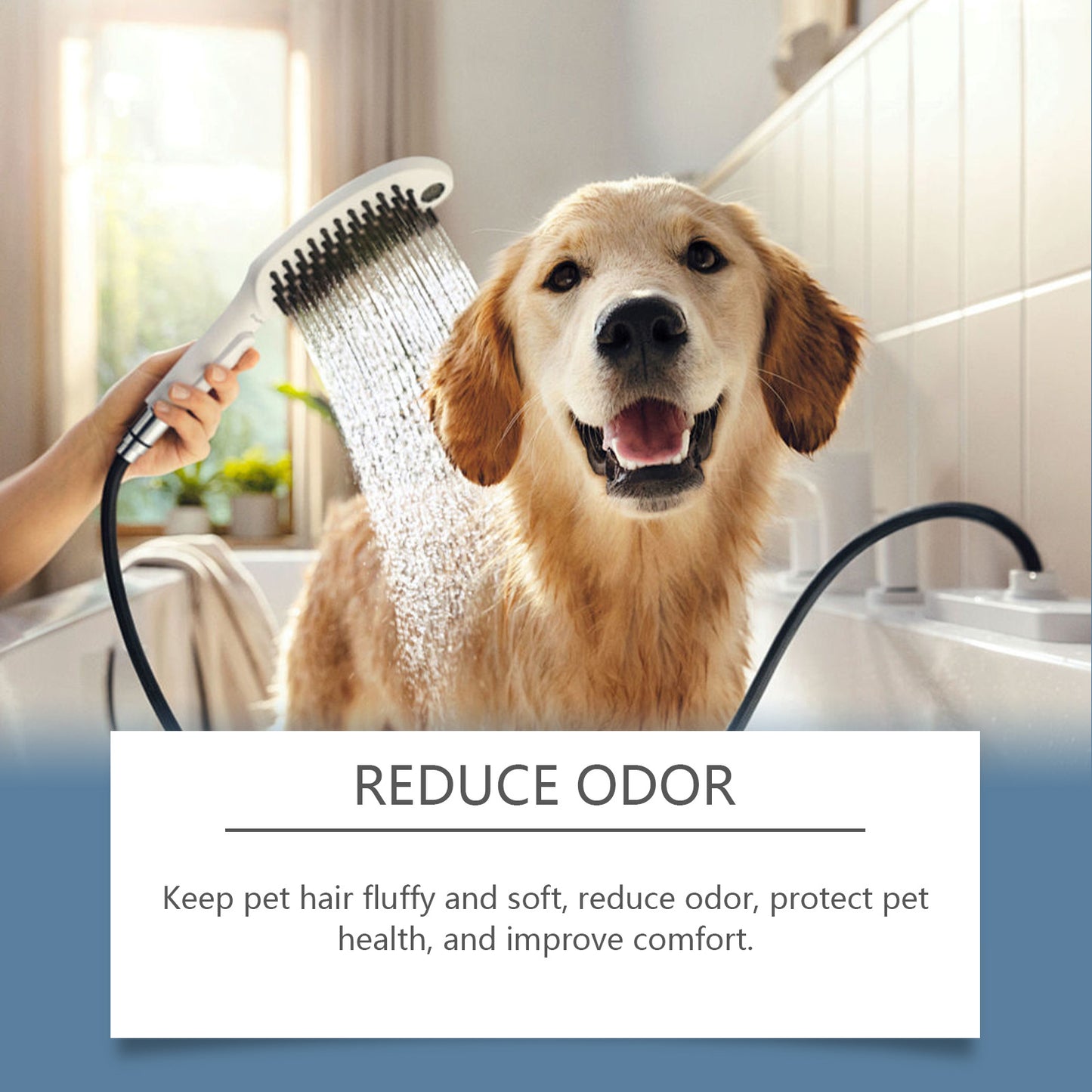 Pet Nourishing Shower Gel & Mild Shampoo