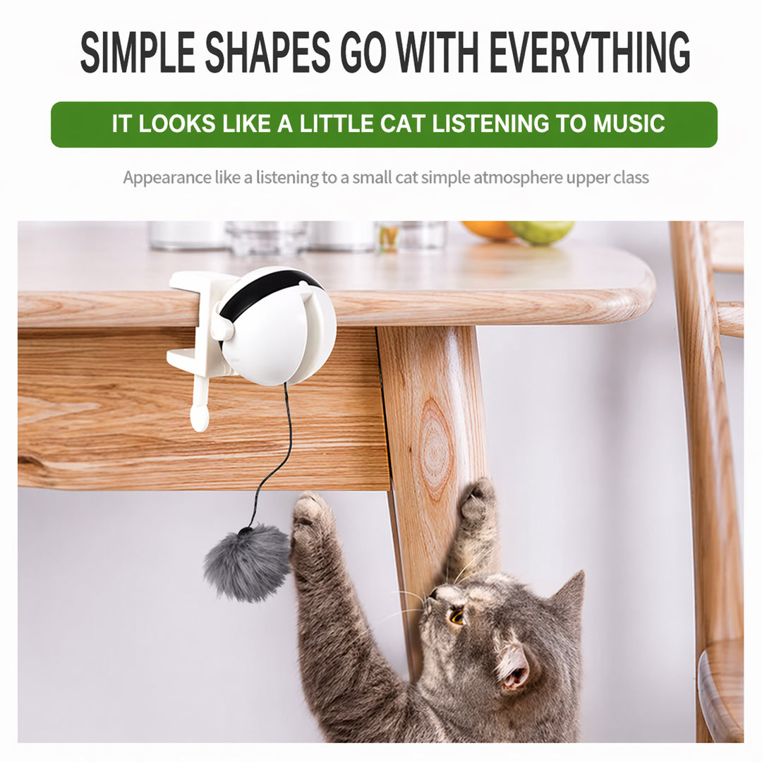 Smart Auto Cat Ball™