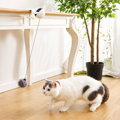 Smart Auto Cat Ball™