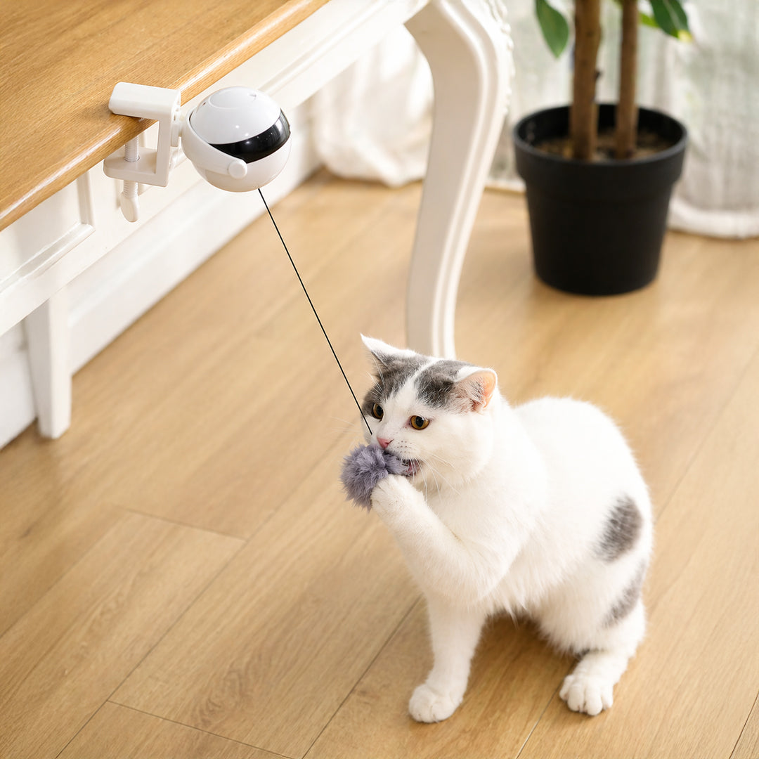 Smart Auto Cat Ball™