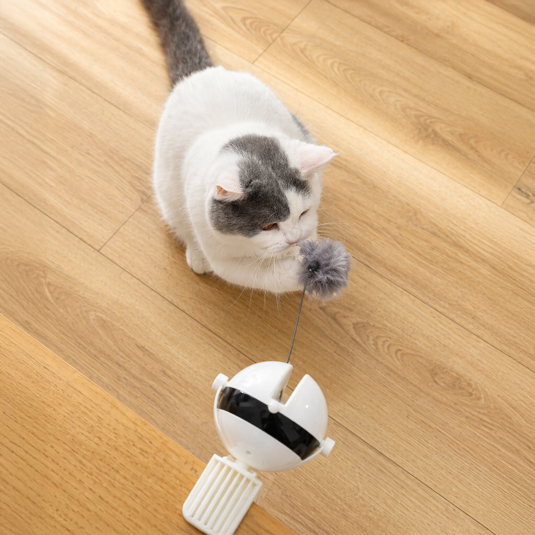 Smart Auto Cat Ball™