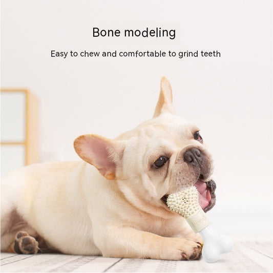 Dog Dental Chew Bone with Toothpaste Reservoir