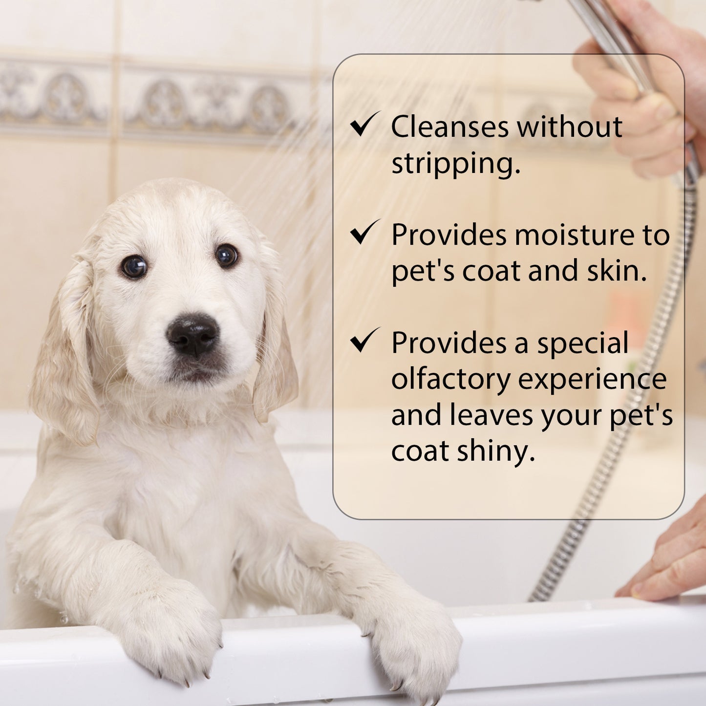 Pet Shampoo - Mild And Clean