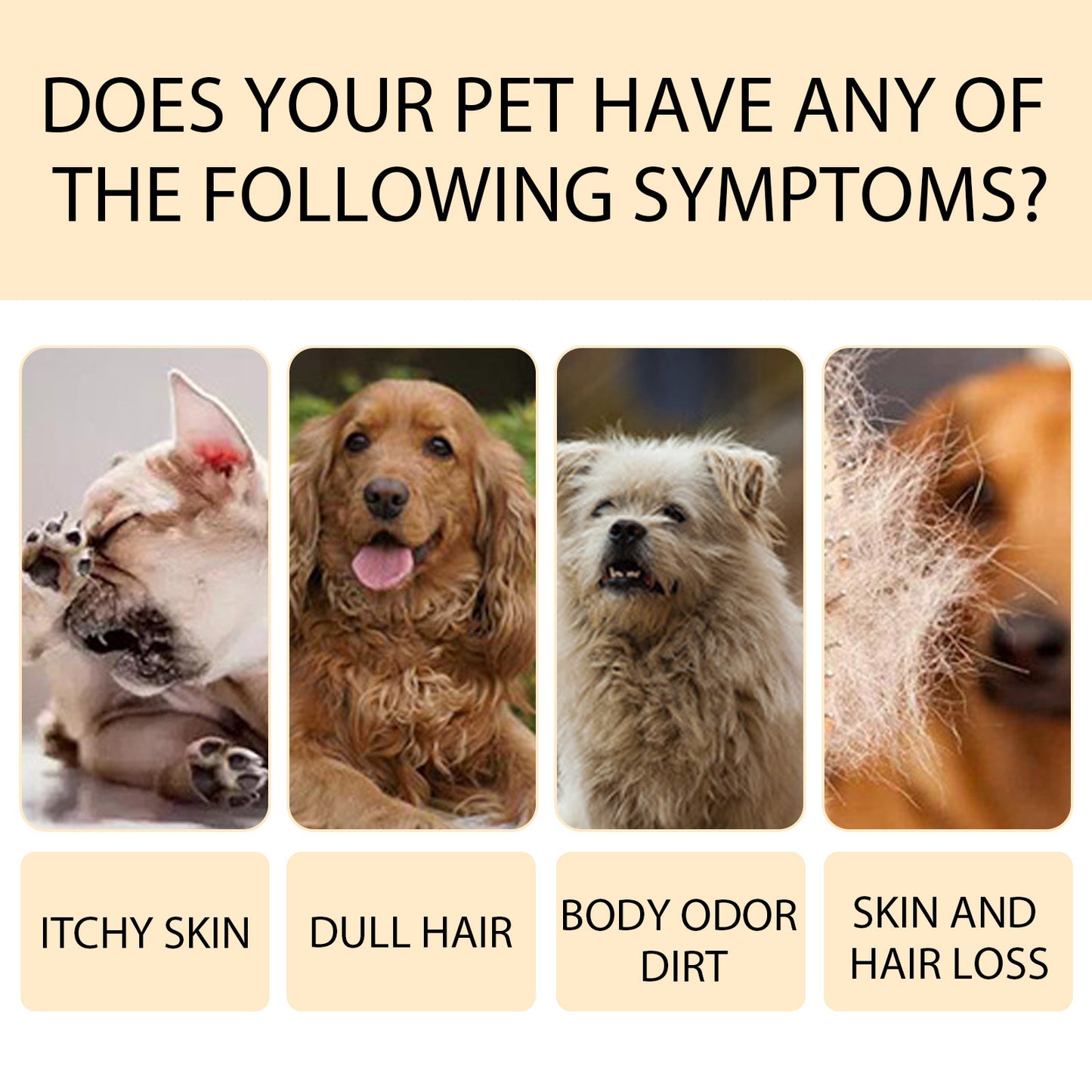 Pet Shampoo - Mild And Clean