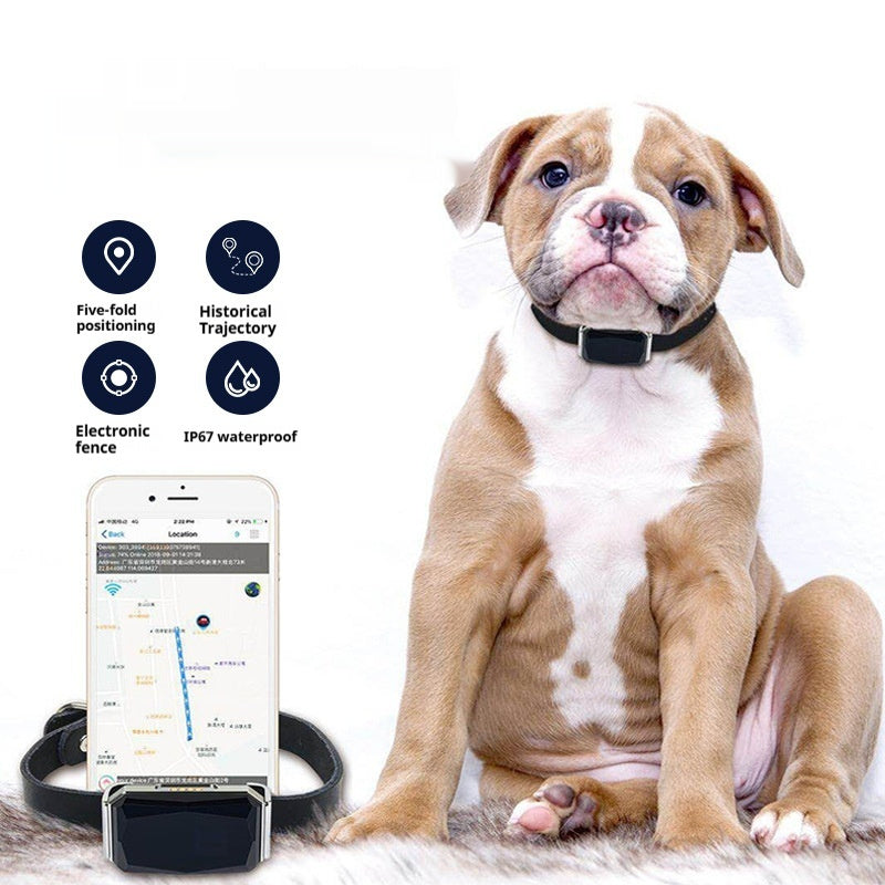 G12 Pet Navigator Locator Smart Wear GPS Cat/Dog Anti-lost Tracking Tracking