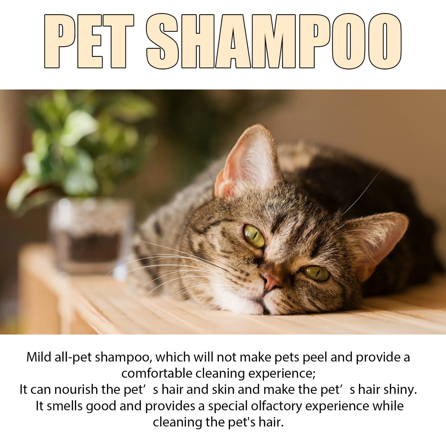Pet Shampoo - Mild And Clean